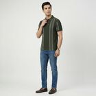 Men's Olive Green Collared Neck Casual T-Shirt, Olive, small