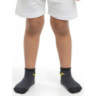 Boys' Dark Charcoal Regular Fit Ankle-Length Dinosaur and Striped Socks Pack of 2, Navy Blue, small image number null