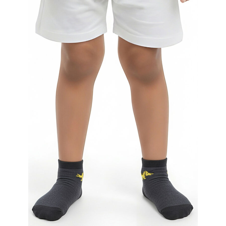 Boys' Dark Charcoal Regular Fit Ankle-Length Dinosaur and Striped Socks Pack of 2, Navy Blue, large image number null