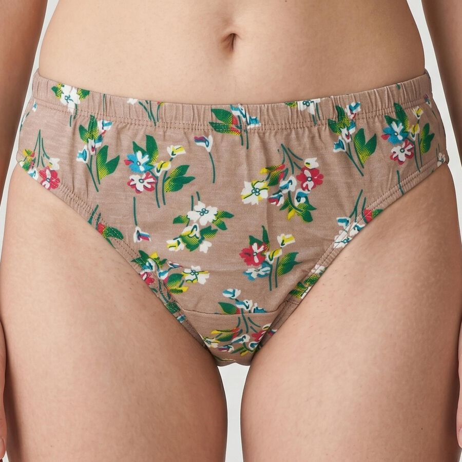Women's Brown Regular Fit Floral Printed Panty, भूरा, large