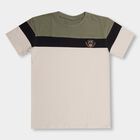 Boys' 100% Cotton Half Sleeves T-Shirt , Olive, small image number null