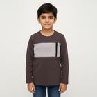Boys Charcoal Cotton Round Neck Casual T-Shirt, चारकोल, small image number null