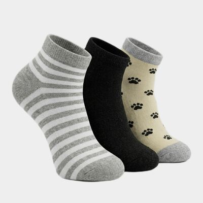 Women's Assorted Regular Fit Striped Pack of 3 Socks