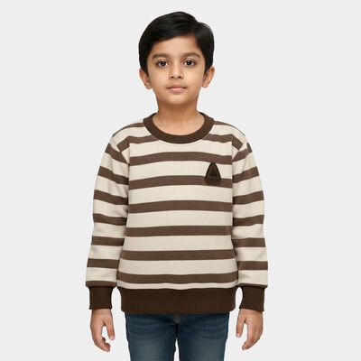 Boys Brown and Cream Crew Neck Striped Pullover