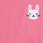 Infant Girls' Bright Pink Cotton Bunny Embroidered Top and Ruffle Shorts Set, Pink, small