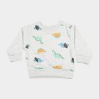 Infants' Grey Crew Neck Graphic Pullover Sweatshirt, Light Grey, small