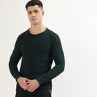 Men's Dark Forest Green Crew Neck Slim Fit Pullover, गहरा हरा, small image number null