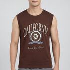 Men's Brown Cotton Crew Neck Casual T-Shirt, Brown, small