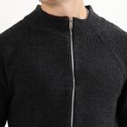 Men's Charcoal Zip Neck Casual Pullover, चारकोल, small image number null