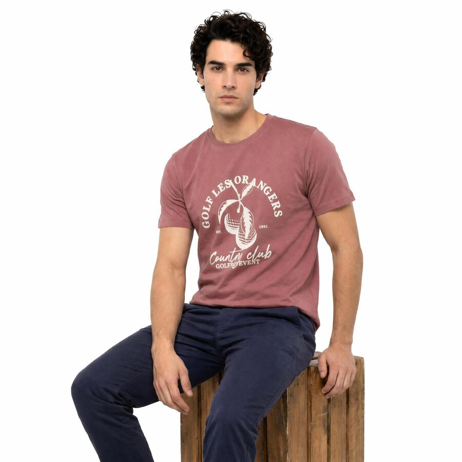 Men Pink Round Neck Regular T-Shirt, Pink, large