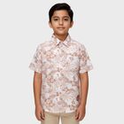 Boys' Rust Cotton Classic Collar Casual Shirt, Rust, small