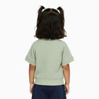 Girls Light Sage Green Round Neck Casual T-Shirt, Light Green, small image number null