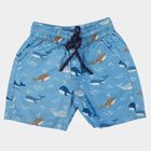 Boys Light Blue Regular Fit Printed Bermuda Shorts, Light Blue, small