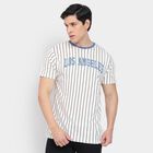Men's 100% Cotton Round Neck Half Sleeves T-Shirt, Off White, small