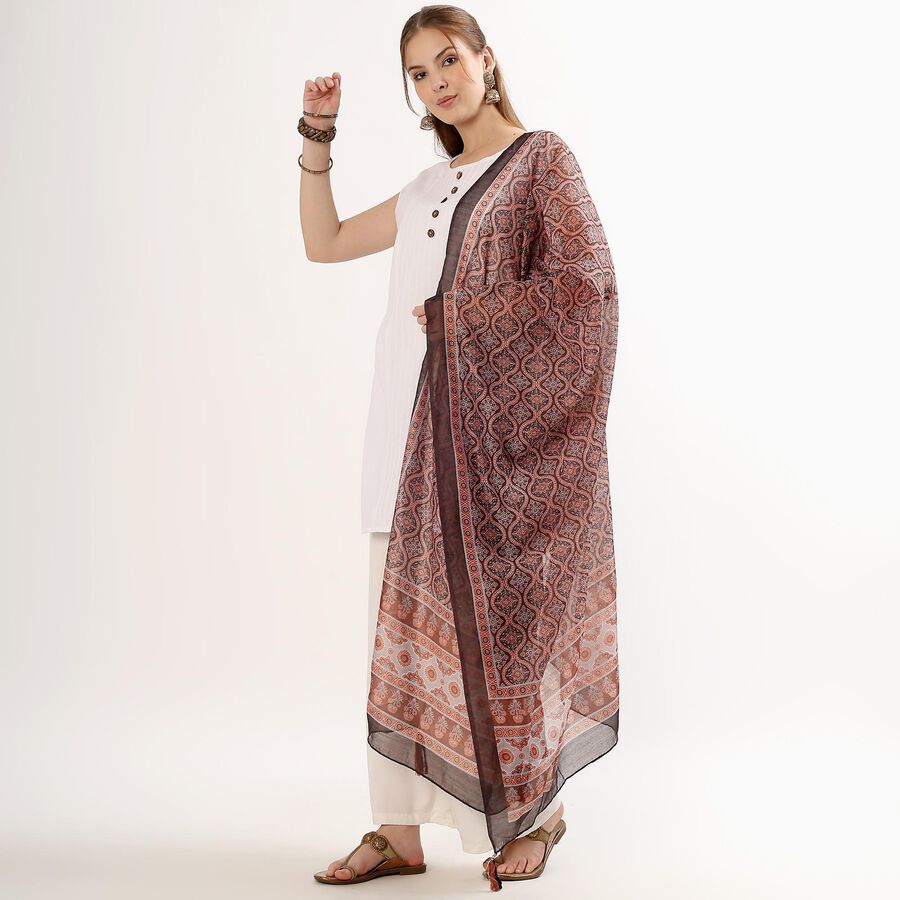 Ladies' Dupatta, Maroon, large image number null