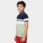 Boys Mint Green Crew Neck Graphic Printed T-Shirt, Light Green, small