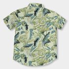 Boys' 100% Cotton Casual Shirt , Light Green, small image number null