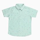 Boys Light Mint Green Cotton Half Sleeve Classic Casual Shirt, Light Green, small image number null