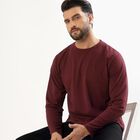 Men's Deep Maroon Crew Neck Full Sleeve T-Shirt, मरून, small image number null