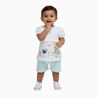 Infant Girl White Cotton Floral Top and Mint Green Shorts Set, एक्वा, small image number null