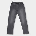 Boys Charcoal Grey Regular Fit Elastic Waist Jeans, Light Grey, small image number null