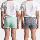 Boys Mid Blue Cotton Regular Fit Printed Trunks, मध्यम नीला, small