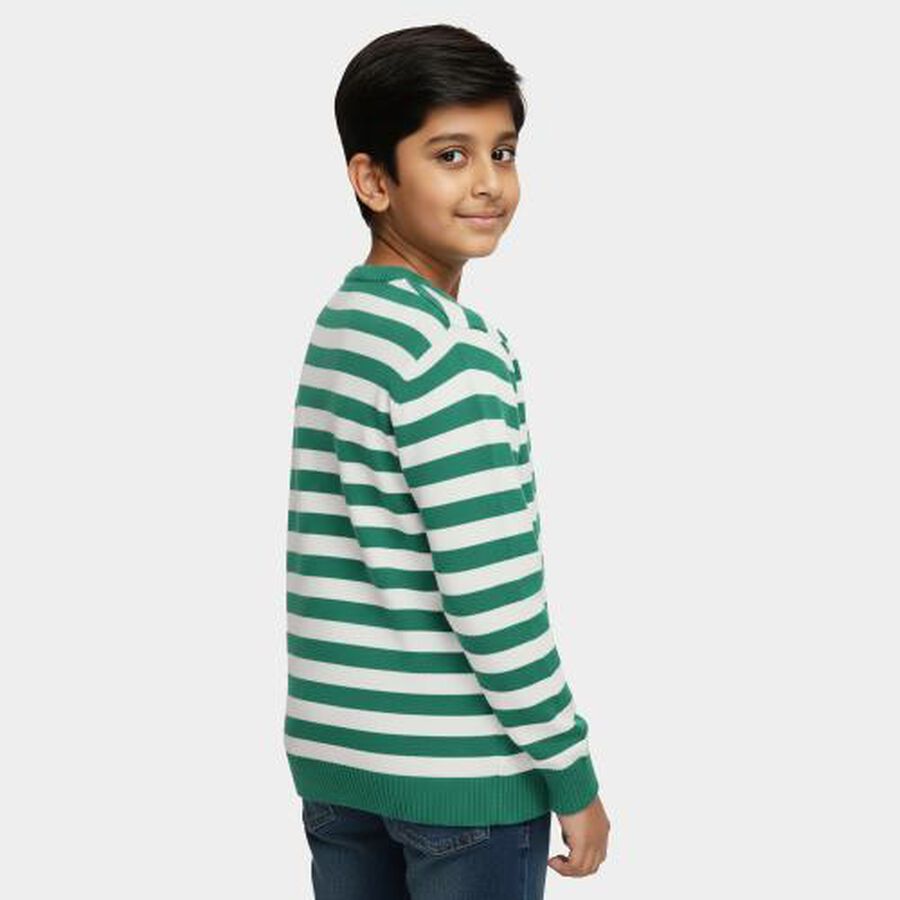 Boys Light Green Crew Neck Casual Pullover, हल्का हरा, large image number null