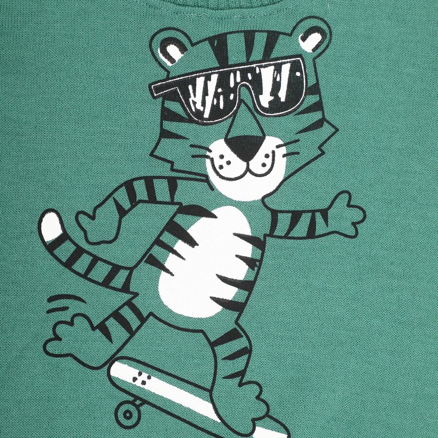 Boys Light Sage Green Crew Neck Casual Pullover, हल्का हरा, large image number null