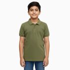 Boys Muted Olive Crew Neck Casual Half Sleeve T-Shirt, Olive, small