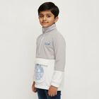 Boys Light Grey Half Zip Casual Sweatshirt, हल्का ग्रे, small image number null