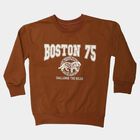 Boys Brown Crew Neck Pullover Sweatshirt, भूरा, small