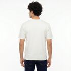 Men's White Round Neck Regular T-Shirt, White, small