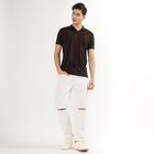 Men's Dark Brown Polo Neck Casual T-Shirt, खाकी, small