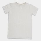 Boys' 100% Cotton Half Sleeves T-Shirt , हल्का ग्रे, small image number null