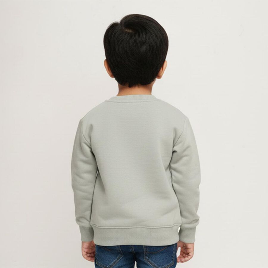 Boys' Sweatshirt, Light Green, large image number null