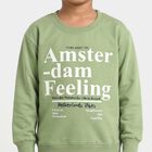 Boys' Green Round Neck Pullover Sweatshirt, हल्का हरा, small