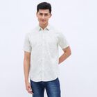 Men's Light Sage Green Cotton Regular Collar Casual Shirt, Light Green, small image number null