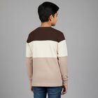 Boys' Brown and Beige Round Neck Casual T-Shirt, Brown, small image number null