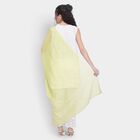 Ladies' Dupatta , हल्का हरा, small image number null