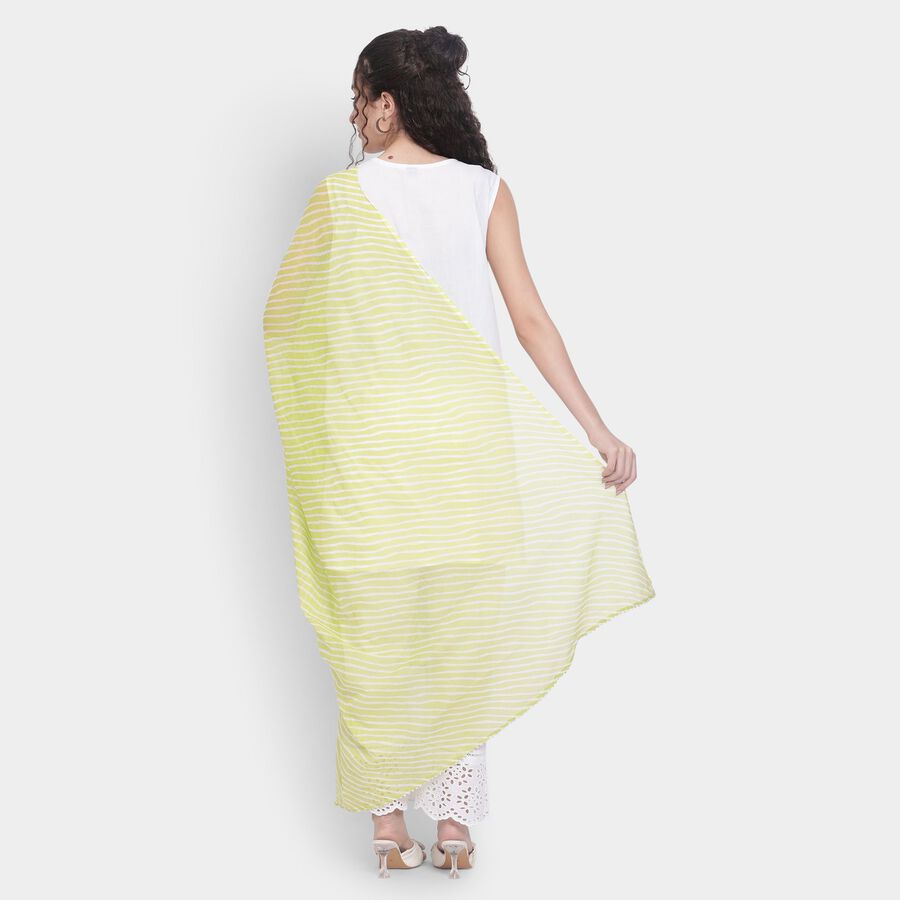 Ladies' Dupatta , हल्का हरा, large image number null