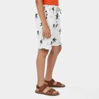 Boys' Off White Cotton Blend Regular Fit Bermuda Shorts, Off White, small