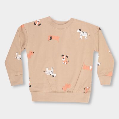 Boys Light Beige Crew Neck Casual Sweatshirt
