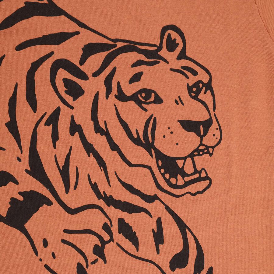 Boys' Half Sleeves T-Shirt , Rust, large image number null