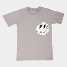 Boys Grey Crew Neck Regular Boys T-Shirt, हल्का ग्रे, small