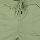 Boys' Green Cotton Blend Regular Fit Bermuda Shorts, हल्का हरा, small