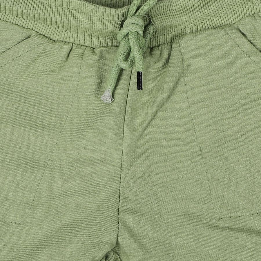 Boys' Green Cotton Blend Regular Fit Bermuda Shorts, हल्का हरा, large