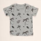 Infants Beige and Grey Cotton Round Neck Casual T-Shirt, Beige, small