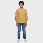 Boys Mustard Yellow Cotton Round Neck Casual T-Shirt, Yellow, small