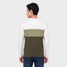 Men Olive Green Crew Neck Colorblocked T-Shirt, हल्का हरा, small