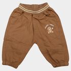 Infants Brown Jogger Fit Teddy Print Trousers, गहरा पीला, small